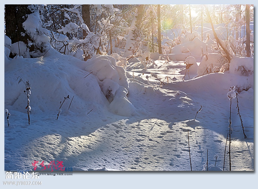 哈雪梦境（三）——05.jpg