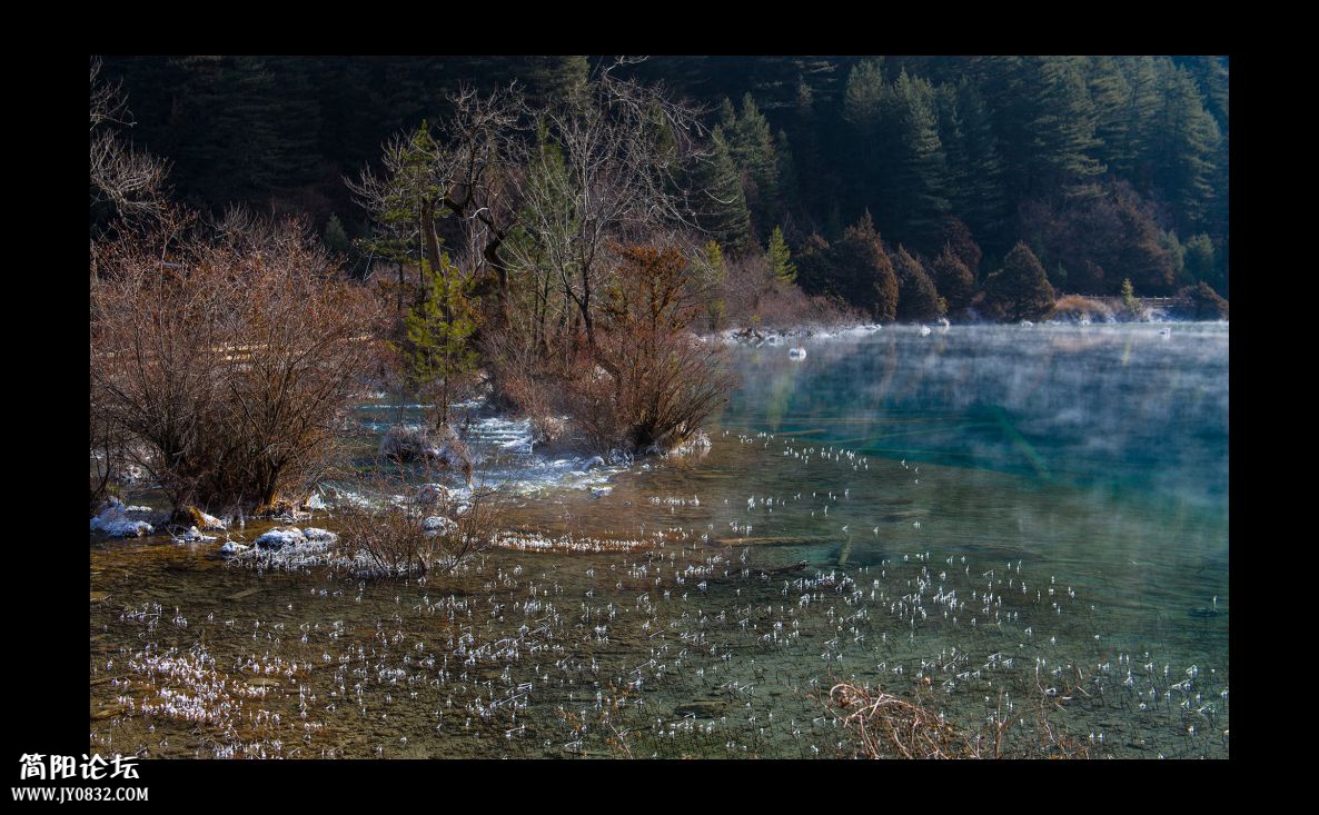 DSC_2387.jpg