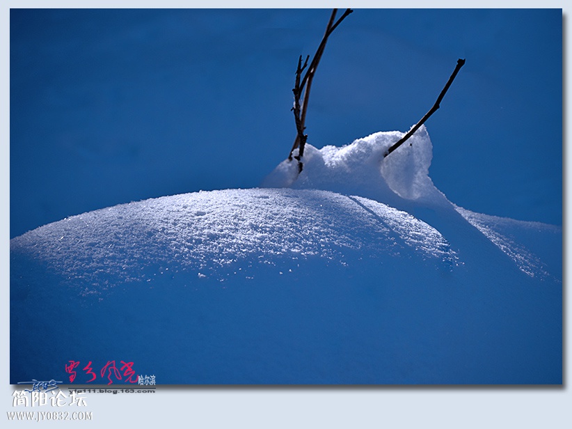 哈雪梦境（四）——02.jpg