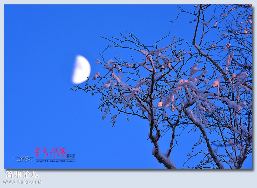 哈雪梦境（四）——04.jpg