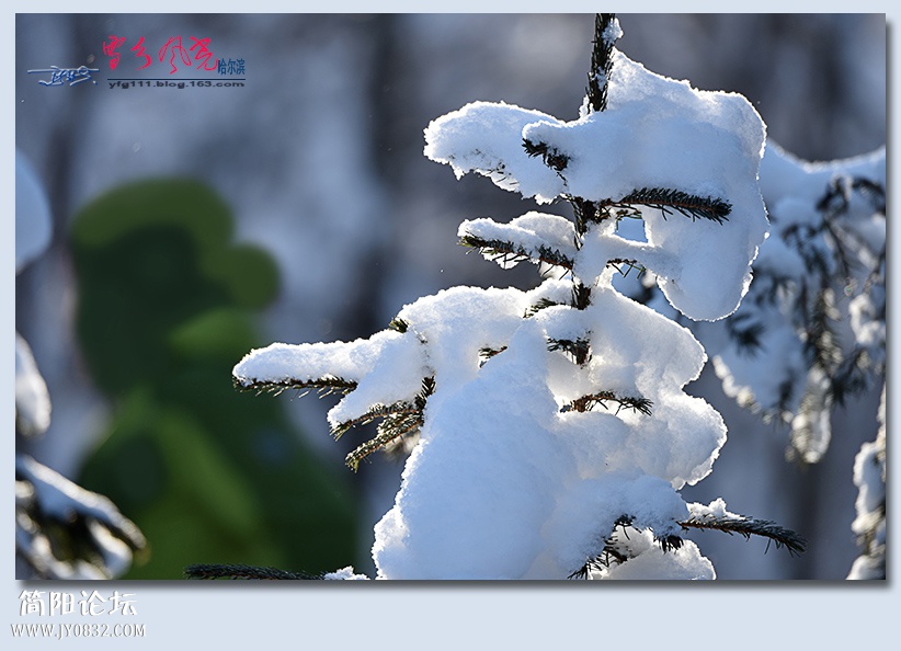 哈雪梦境（四）——10.jpg