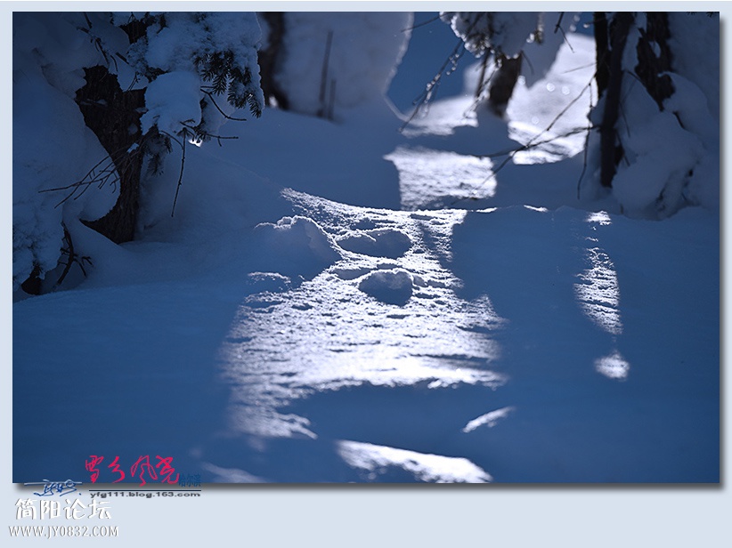 哈雪梦境（四）——11.jpg