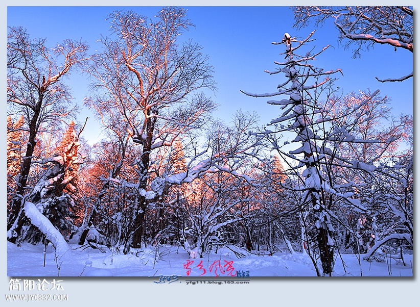 哈雪梦境（四）——12.jpg