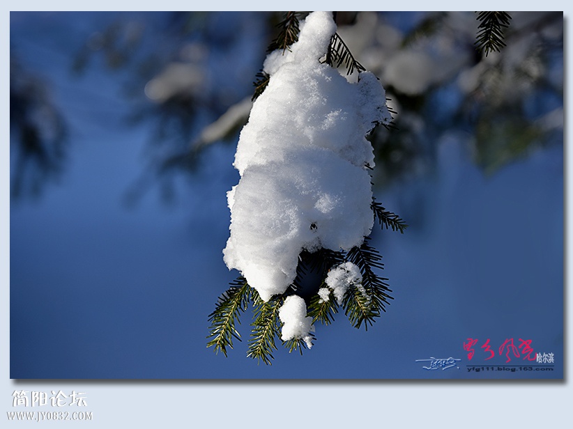 哈雪梦境（四）——15.jpg
