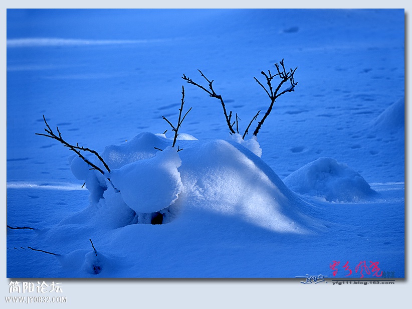 哈雪梦境（四）——16.jpg
