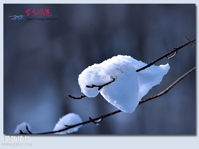 哈雪梦境（四）——17.jpg