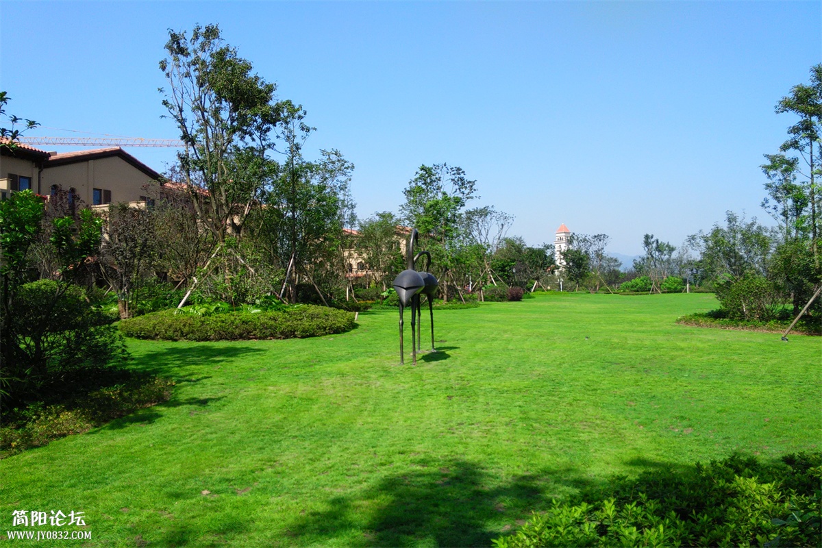IMG20151002113551.jpg