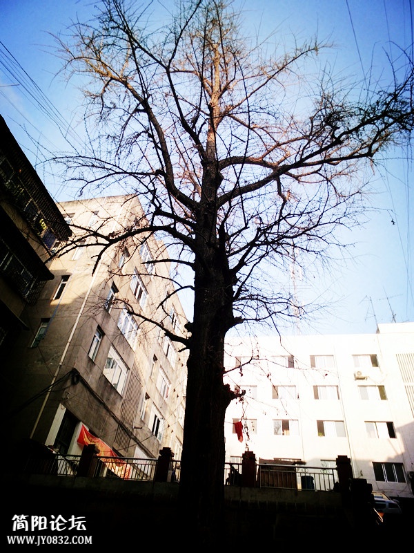DSCI3837.JPG