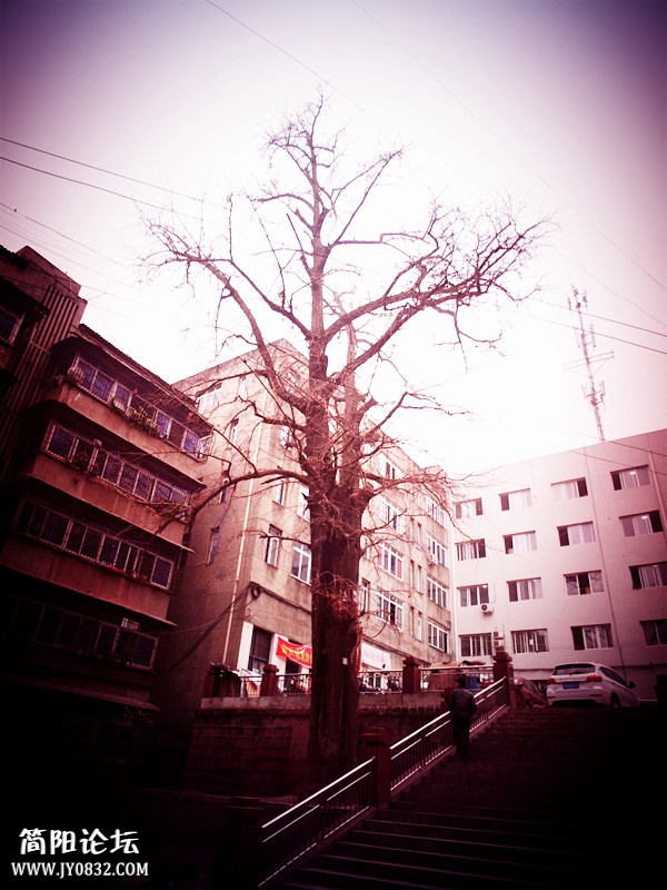 DSCI3786_看图王.jpg