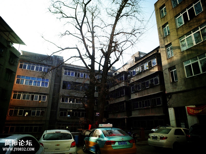 DSCI3861.JPG