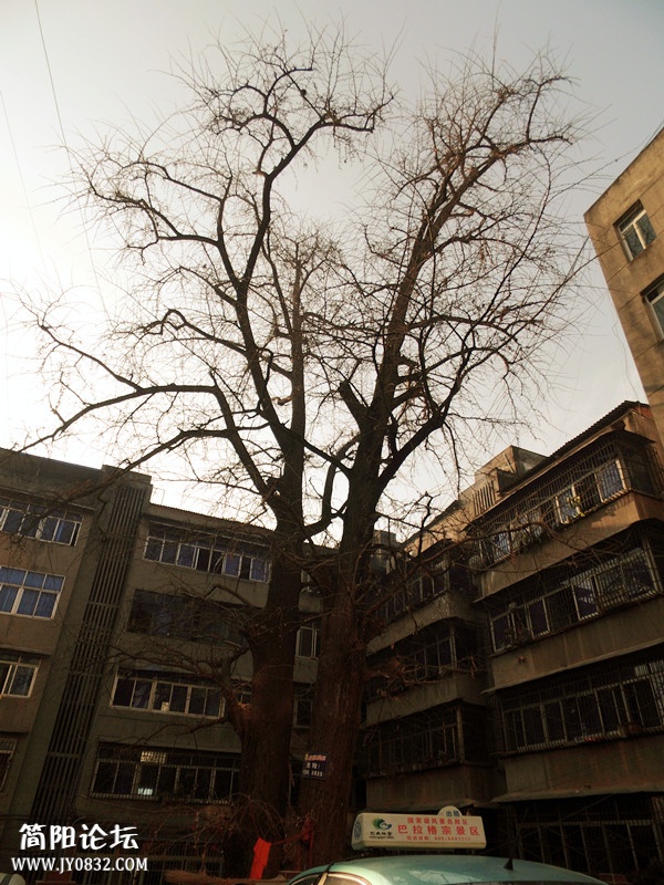 DSCI3862.JPG