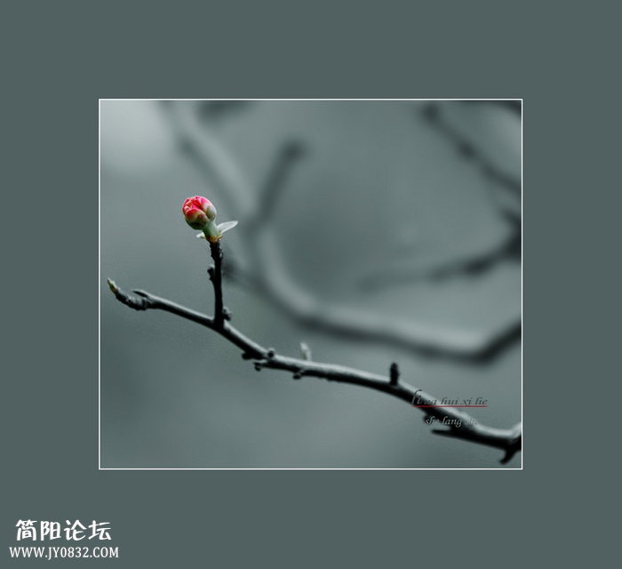 IMG_1152aa--0.jpg