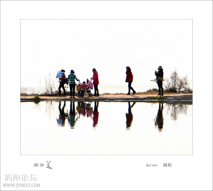 DSC08975--0.jpg