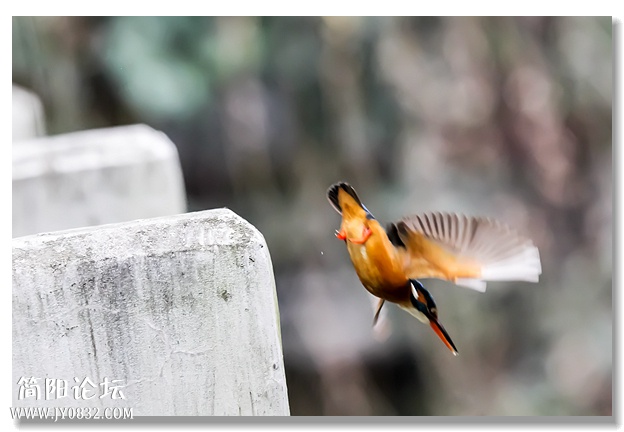 IMG_1859_副本.jpg