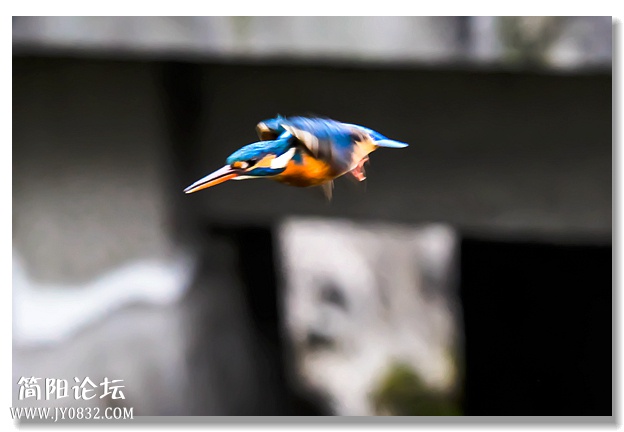 IMG_2016_副本.jpg