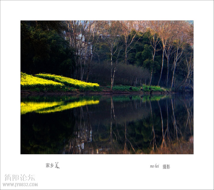 DSC07801--0.jpg