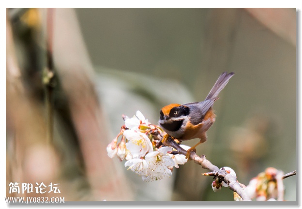 IMG_3348_副本.jpg
