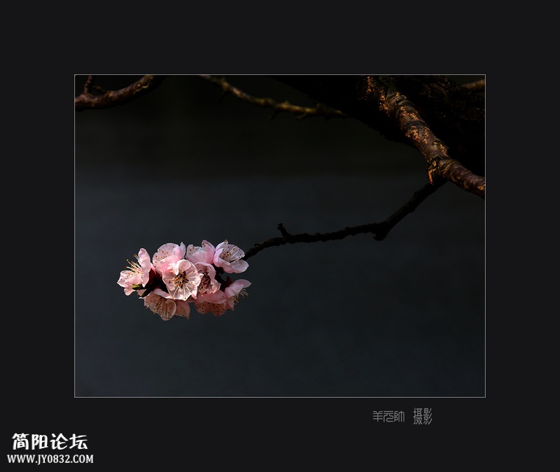 2016036.jpg