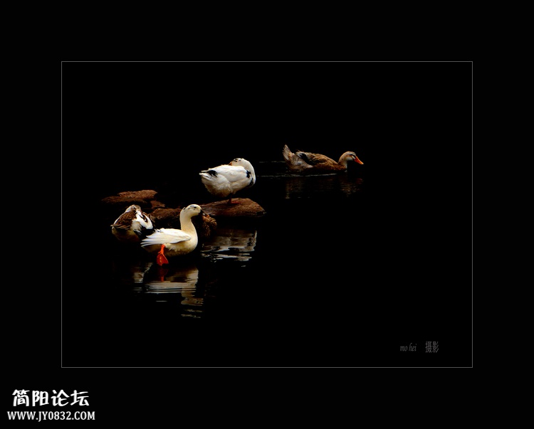 DSC00469b--0.jpg