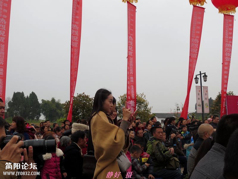 IMG_4876aa.jpg