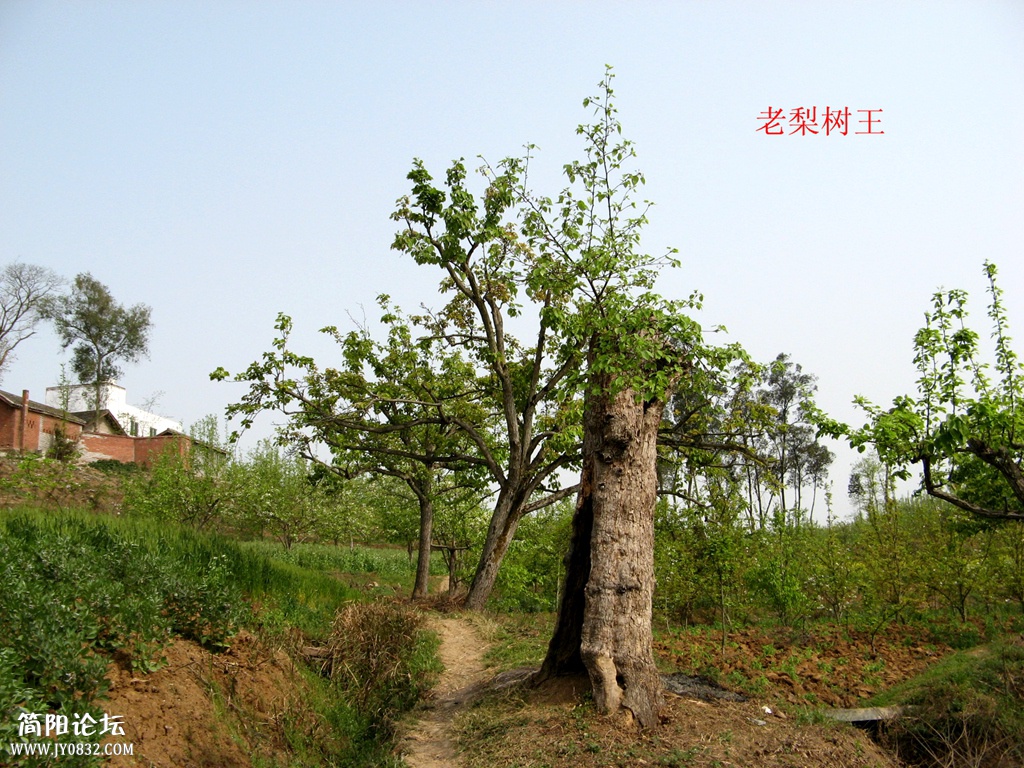 IMG_4894_副本.jpg