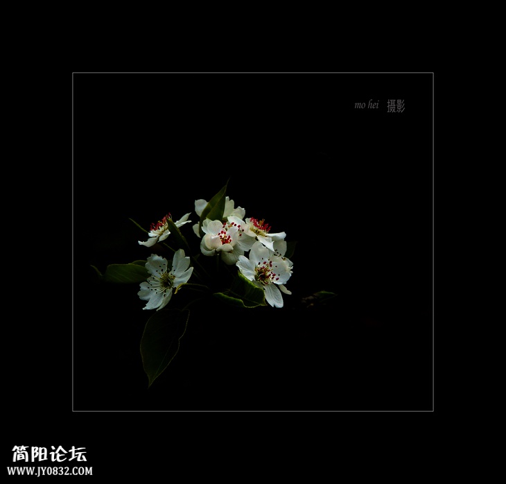DSC01900--0.jpg