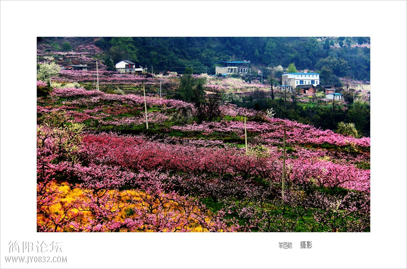 IMG_8888aaaa.jpg