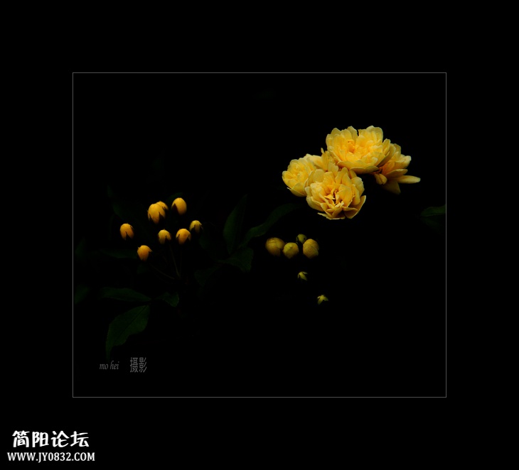 DSC03366 --0.jpg