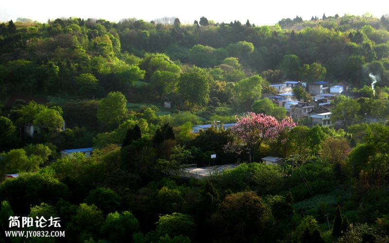 山村副本b.jpg