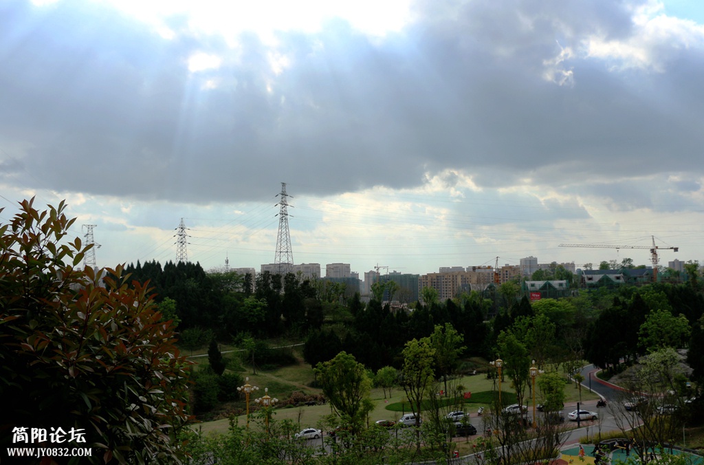 IMG_6084.jpg