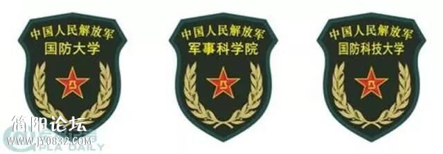 解放军15式臂章图片