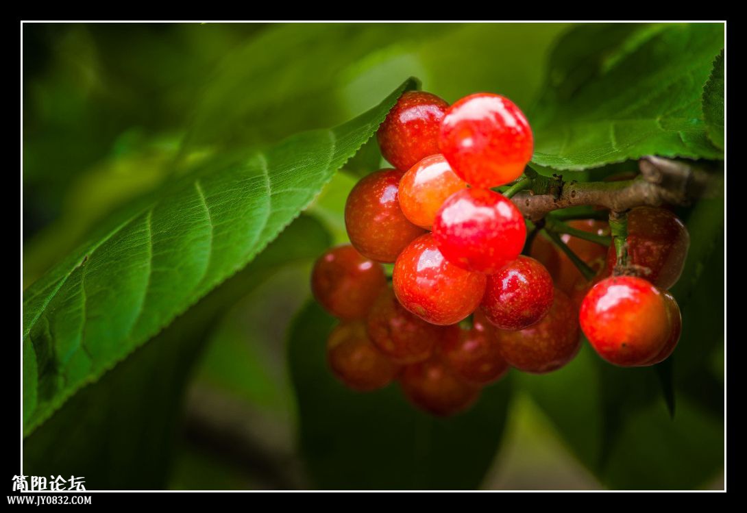 DSC_3132.jpg
