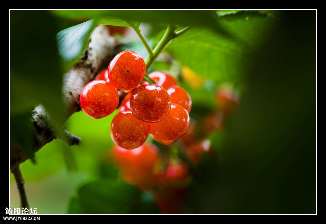 DSC_3146.jpg