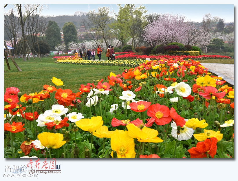 漫花庄园——03.jpg