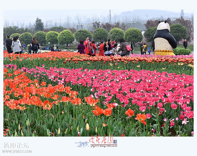 漫花庄园——08.jpg