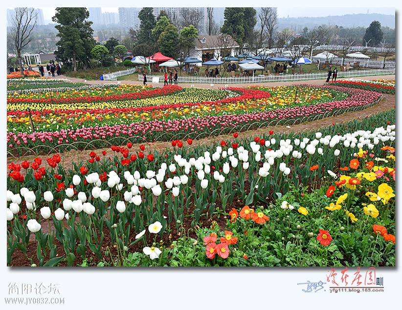 漫花庄园——10.jpg