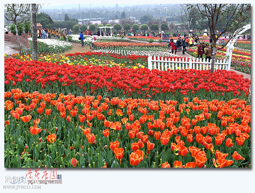 漫花庄园——11.jpg