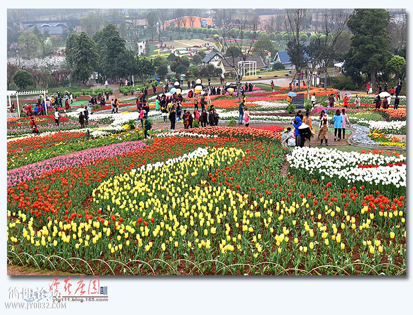 漫花庄园——12.jpg