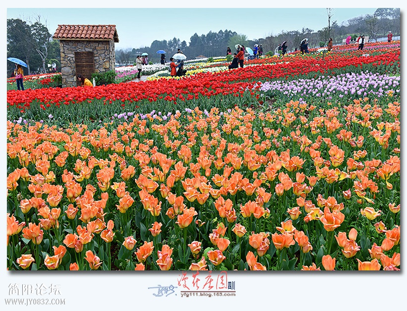 漫花庄园——14.jpg