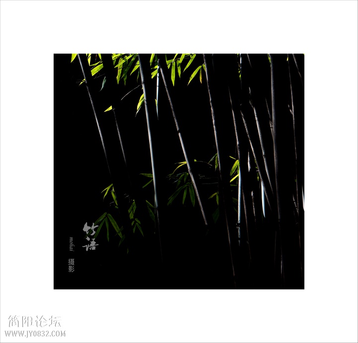 DSC06103--0.jpg