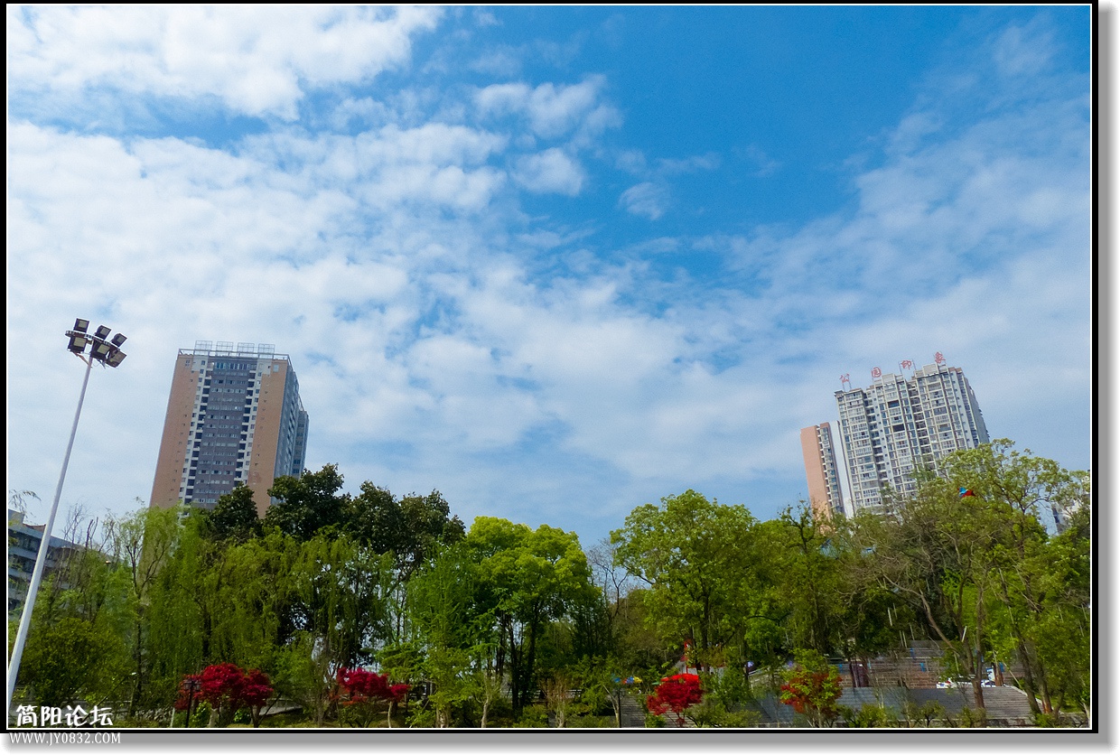 P1800489_副本.jpg