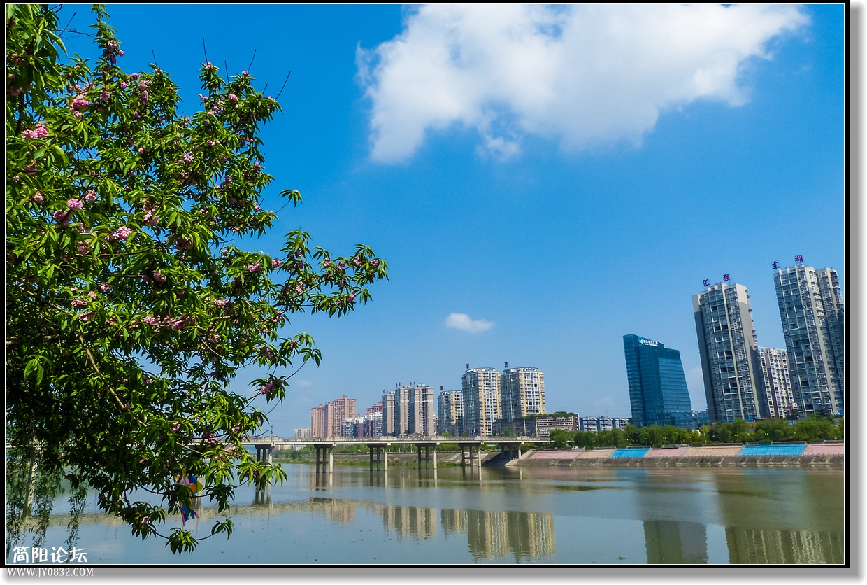 P1800571_副本.jpg