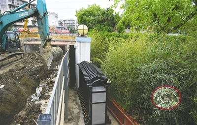 小鸟3.jpg