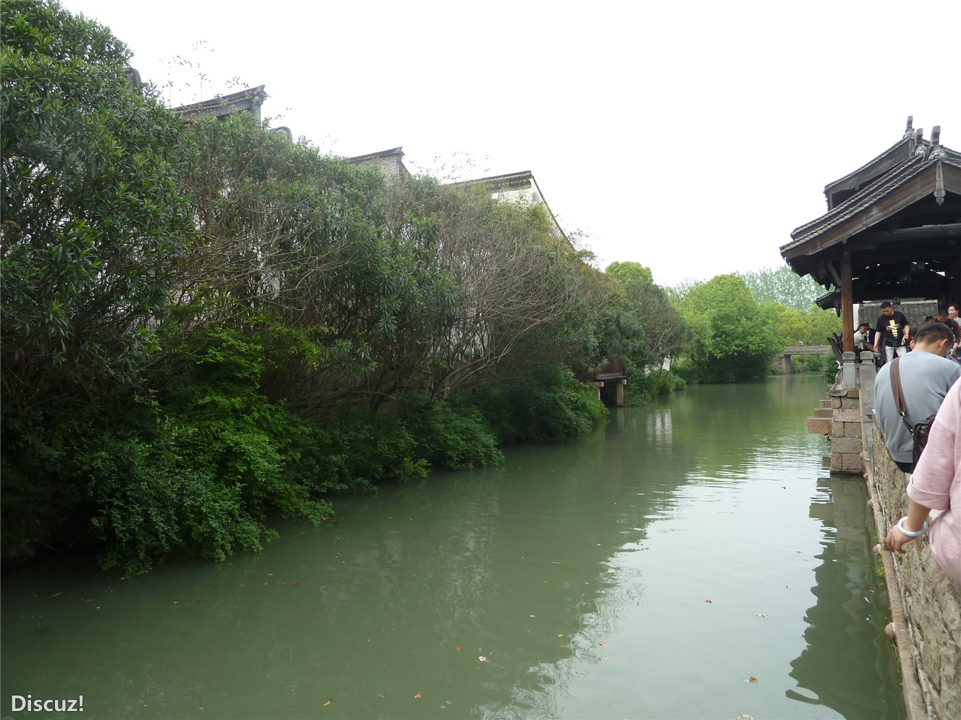 乌镇143.jpg