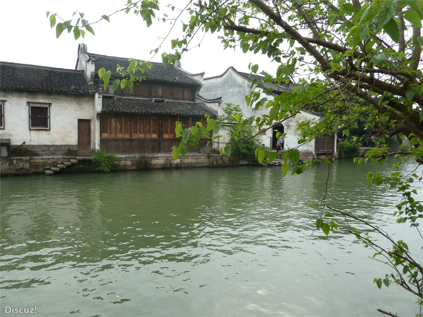乌镇148.jpg