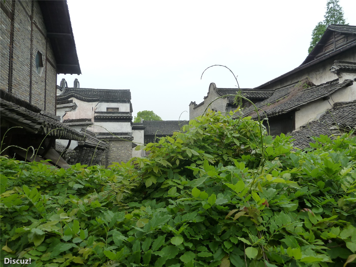乌镇160.jpg