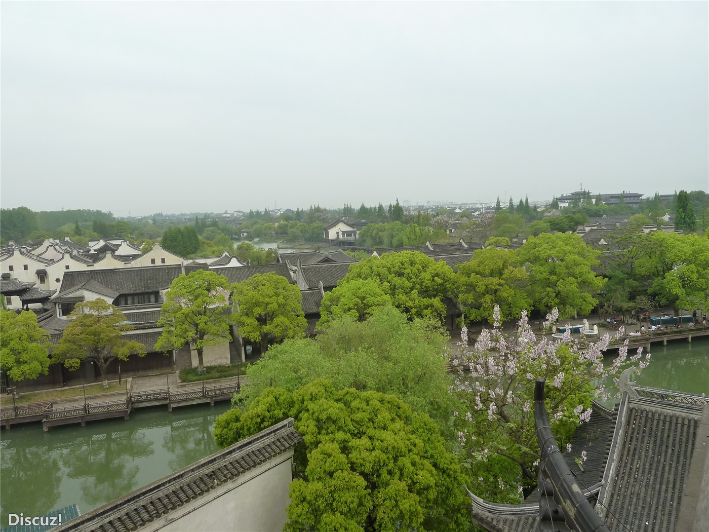 乌镇220.jpg