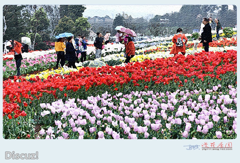 漫花庄园——07.jpg
