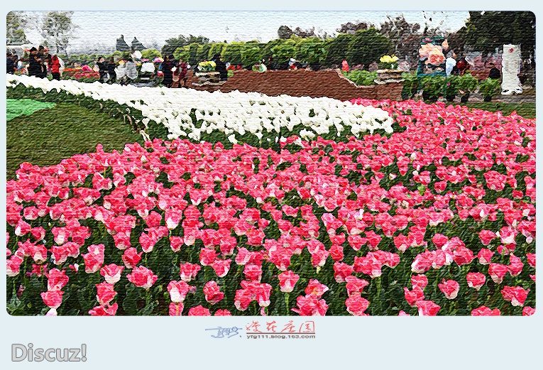 漫花庄园——19.jpg