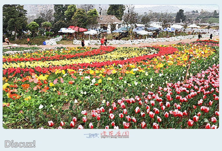 漫花庄园——24.jpg